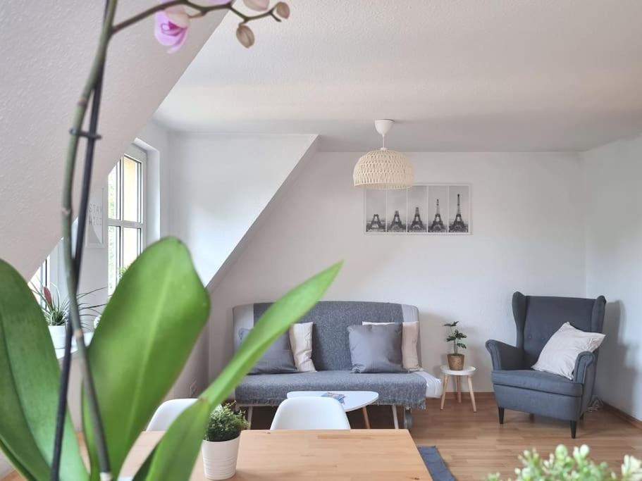 2 At It-district Neustadt & Free Parking * Dresden